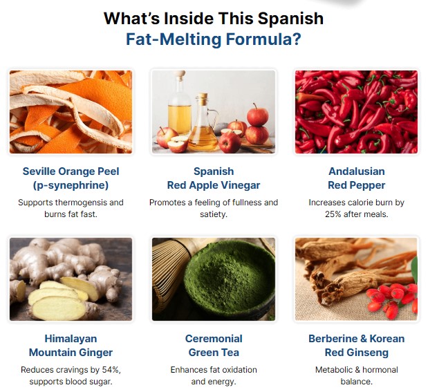 Citrus Burn Review 2026